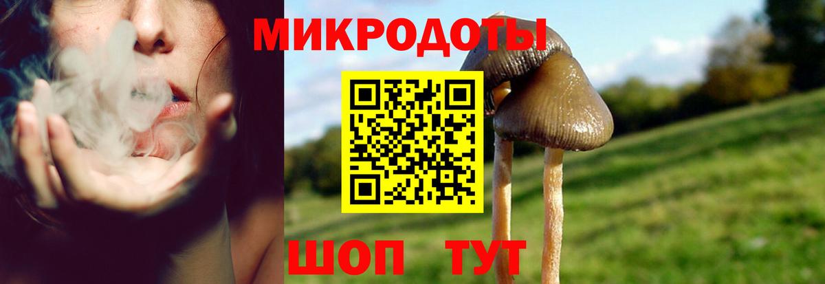 Псилоцибиновые грибы Psilocybe  Вход с VPN  Псилоцибиновые грибы MAGIC MUSHROOMS  Санкт-Петербург 
